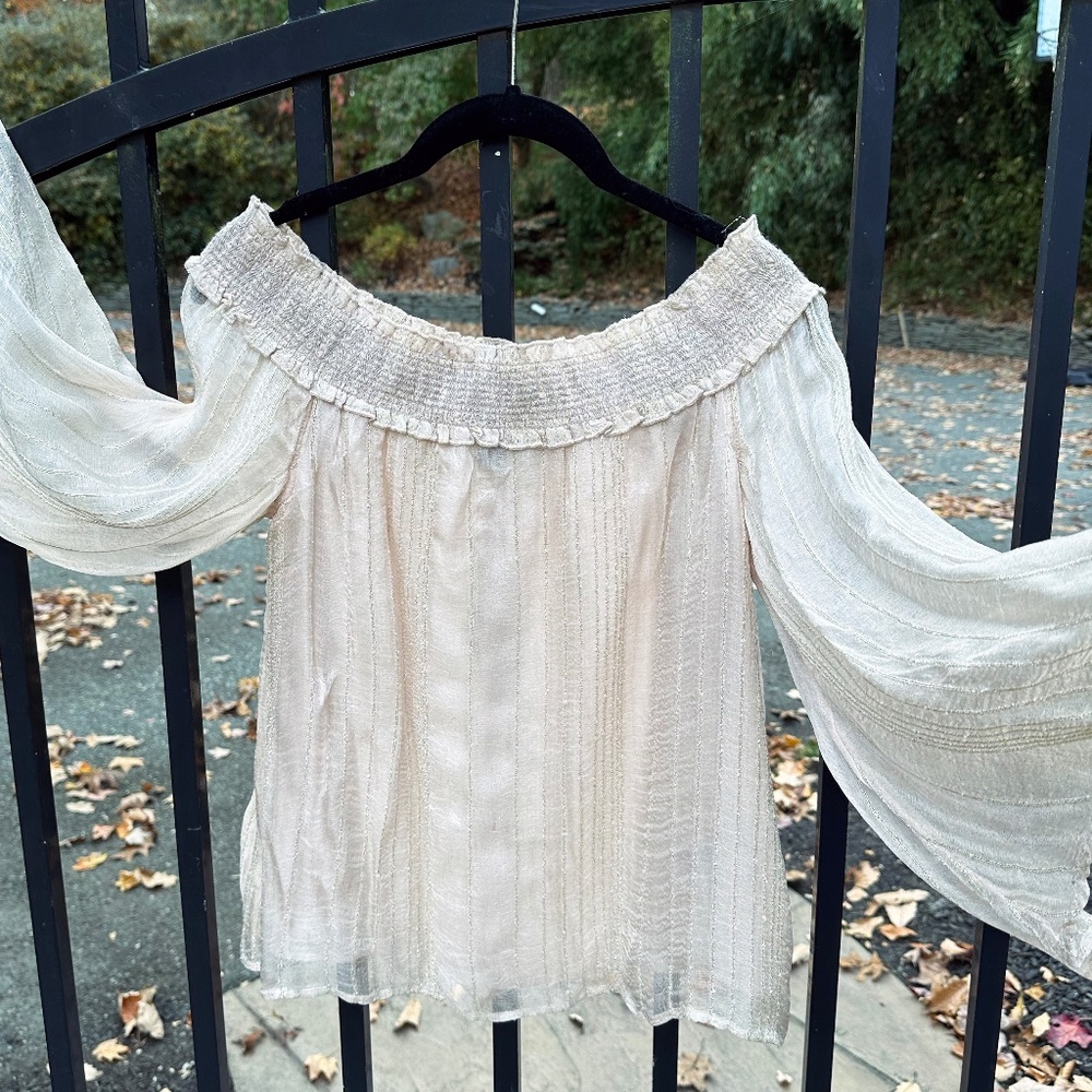 NWT American Eagle Outfitters Off the Shoulder Sheer Top